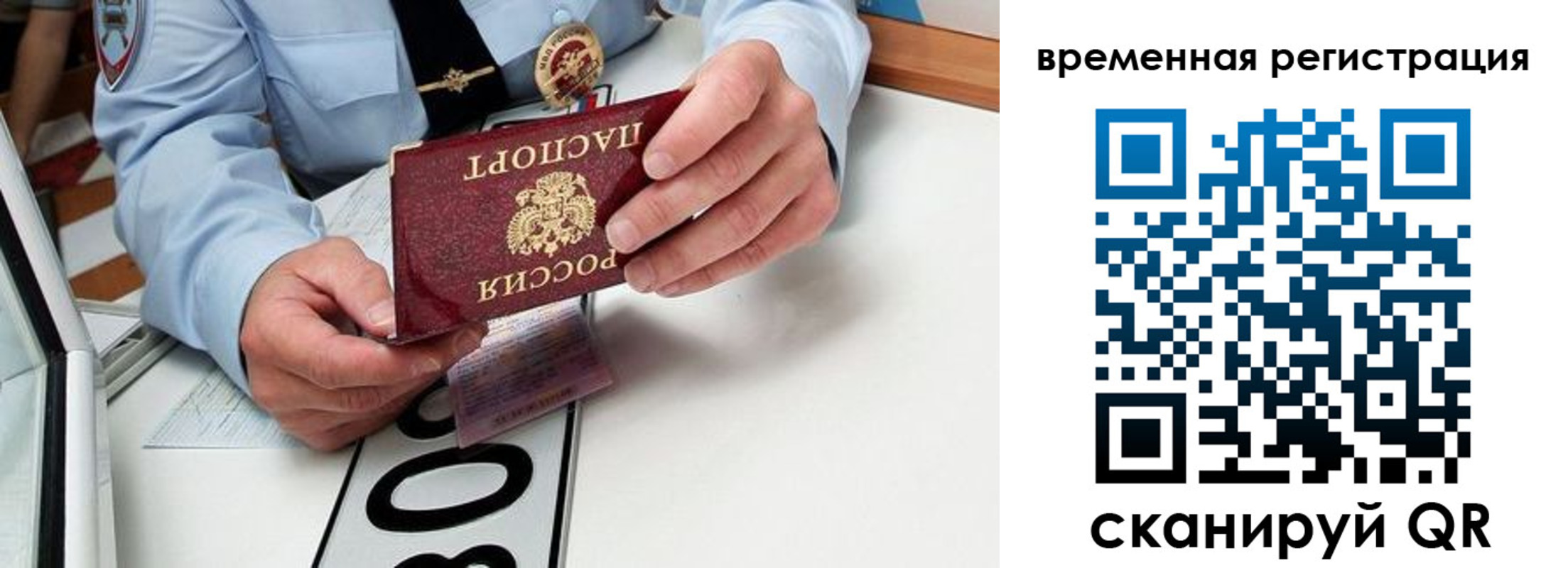 прописка гарантия в Заринске